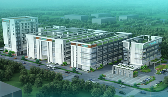 Jiangmen Hongli Energy Co. Ltd.3_12.01.2026.png